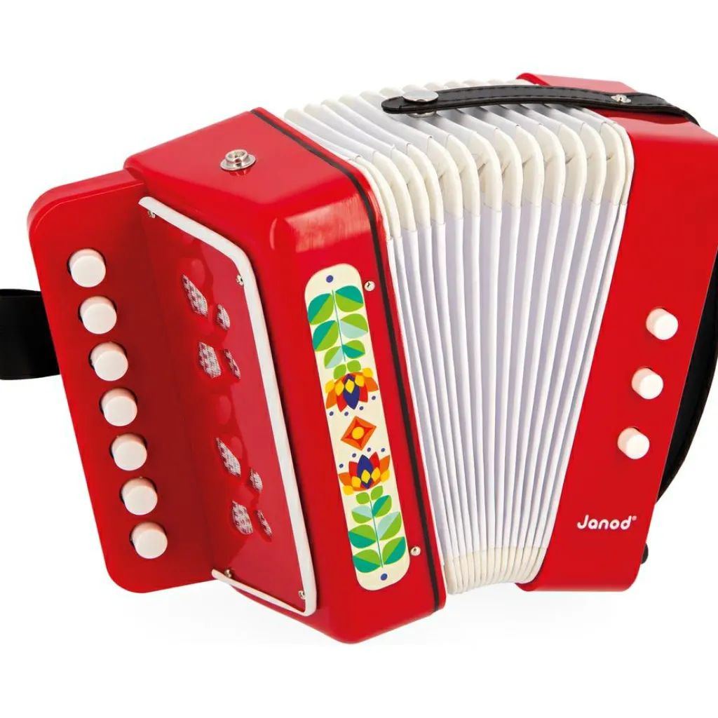 Hot Accordéon Gioia Instrument De Musique