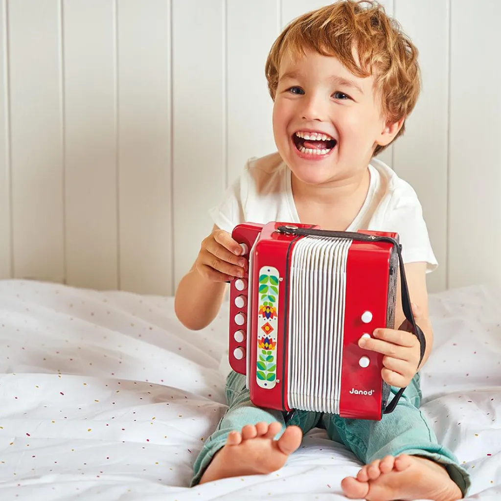 Hot Accordéon Gioia Instrument De Musique