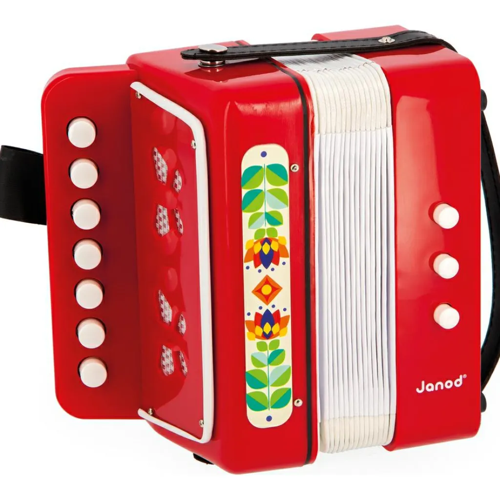 Hot Accordéon Gioia Instrument De Musique