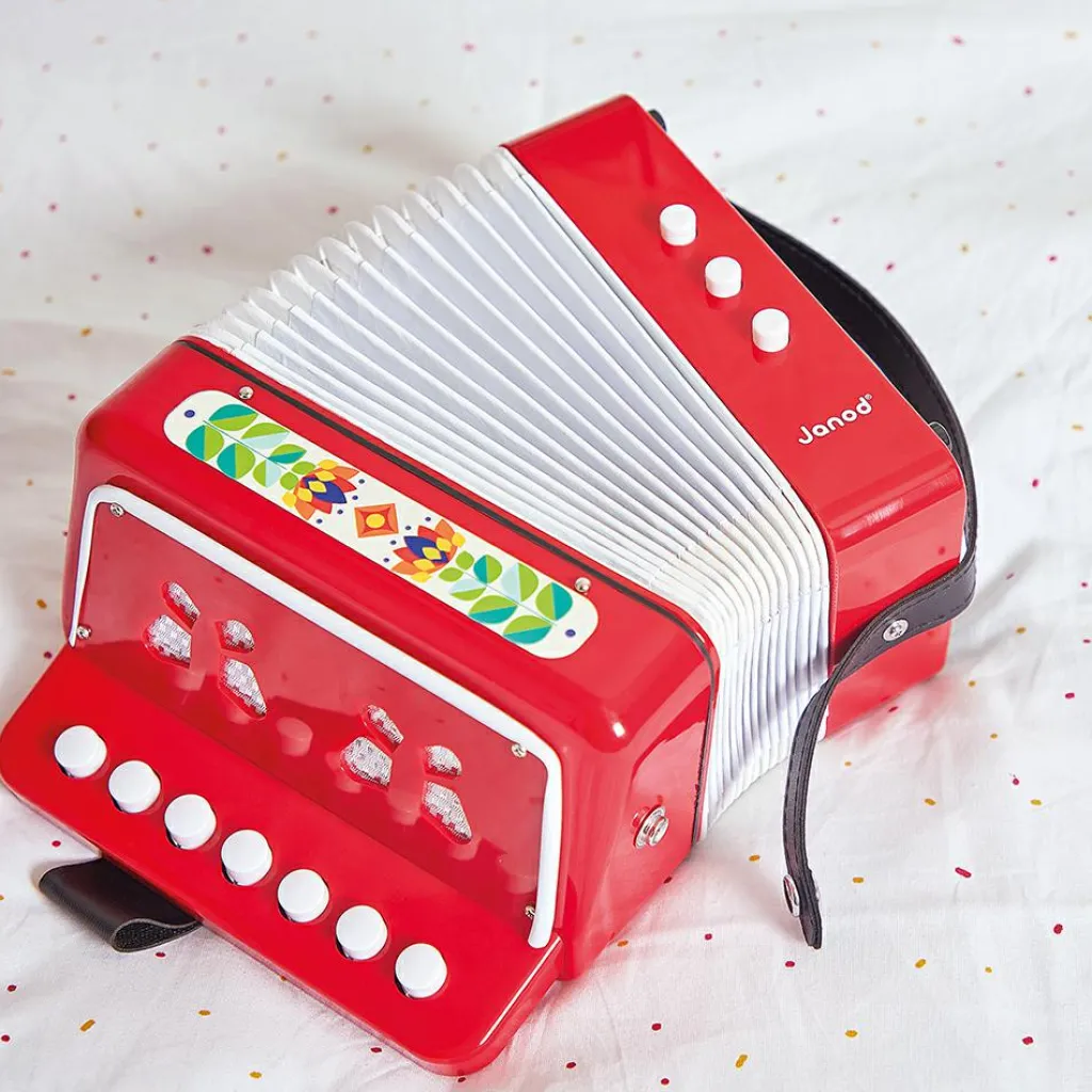 Hot Accordéon Gioia Instrument De Musique