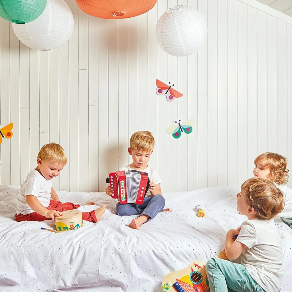 Hot Accordéon Gioia Instrument De Musique