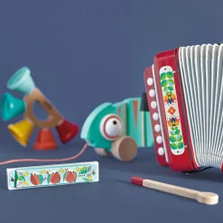 Hot Accordéon Gioia Instrument De Musique