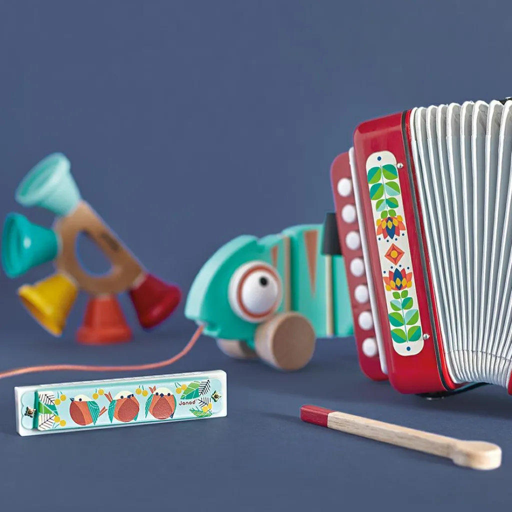 Hot Accordéon Gioia Instrument De Musique