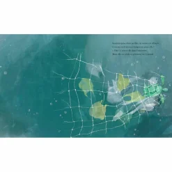 Album La petite tortue et l'océan Enfant Livre Enfant