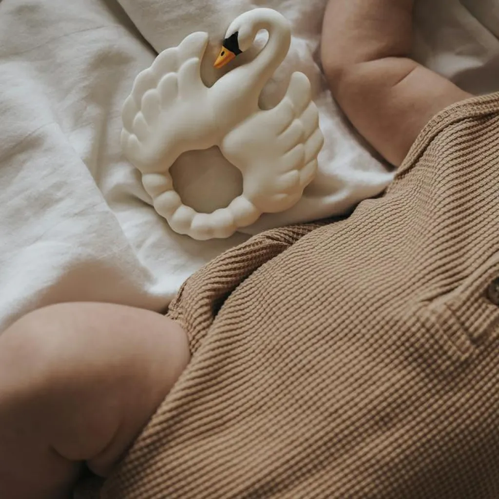 Online Anneau de dentition Cygne Jouet / Anneau De Dentition