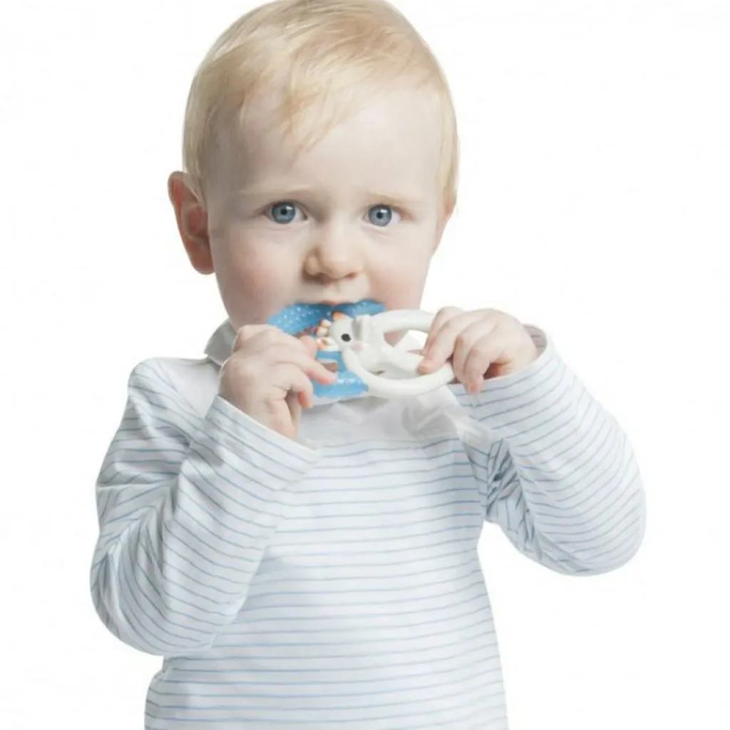 Anneau de dentition Fresh Jouet / Anneau De Dentition