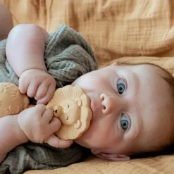 New Anneau de dentition Lion Jouet / Anneau De Dentition