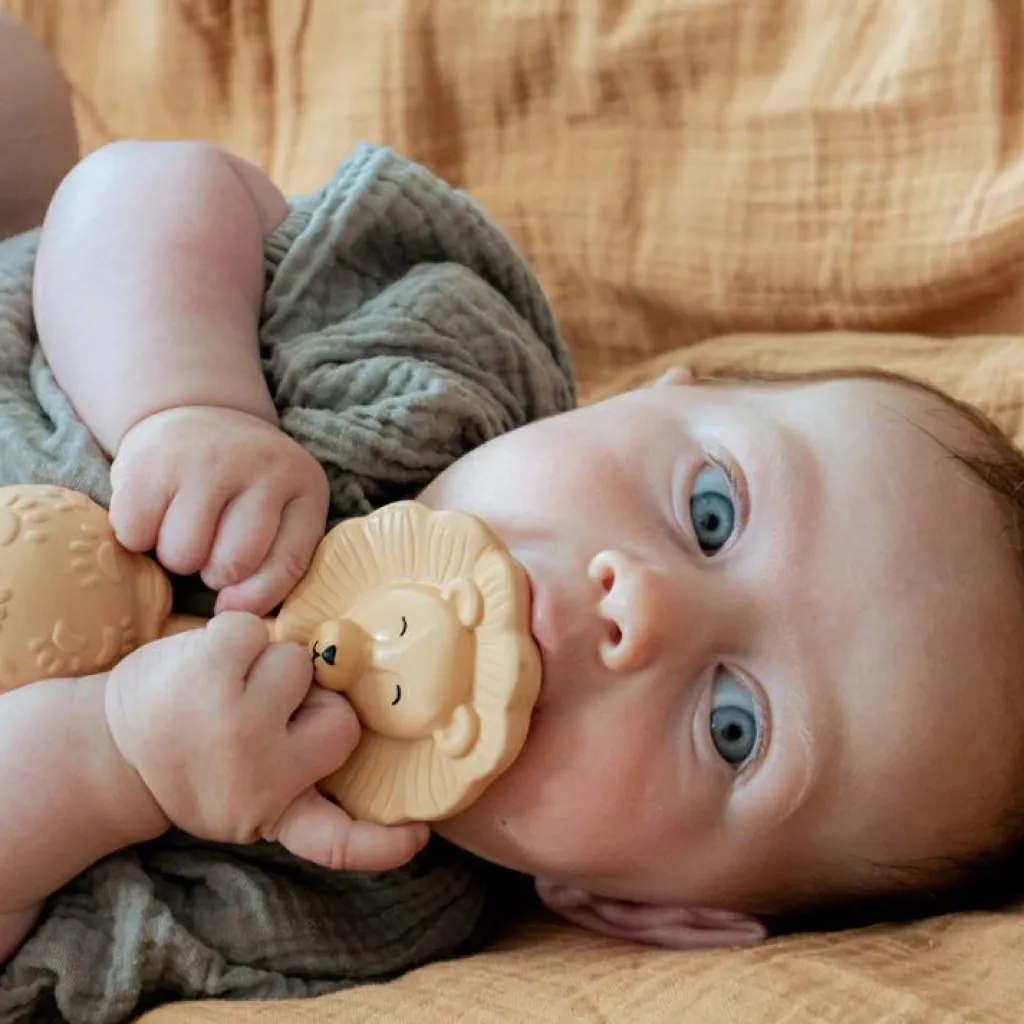 New Anneau de dentition Lion Jouet / Anneau De Dentition