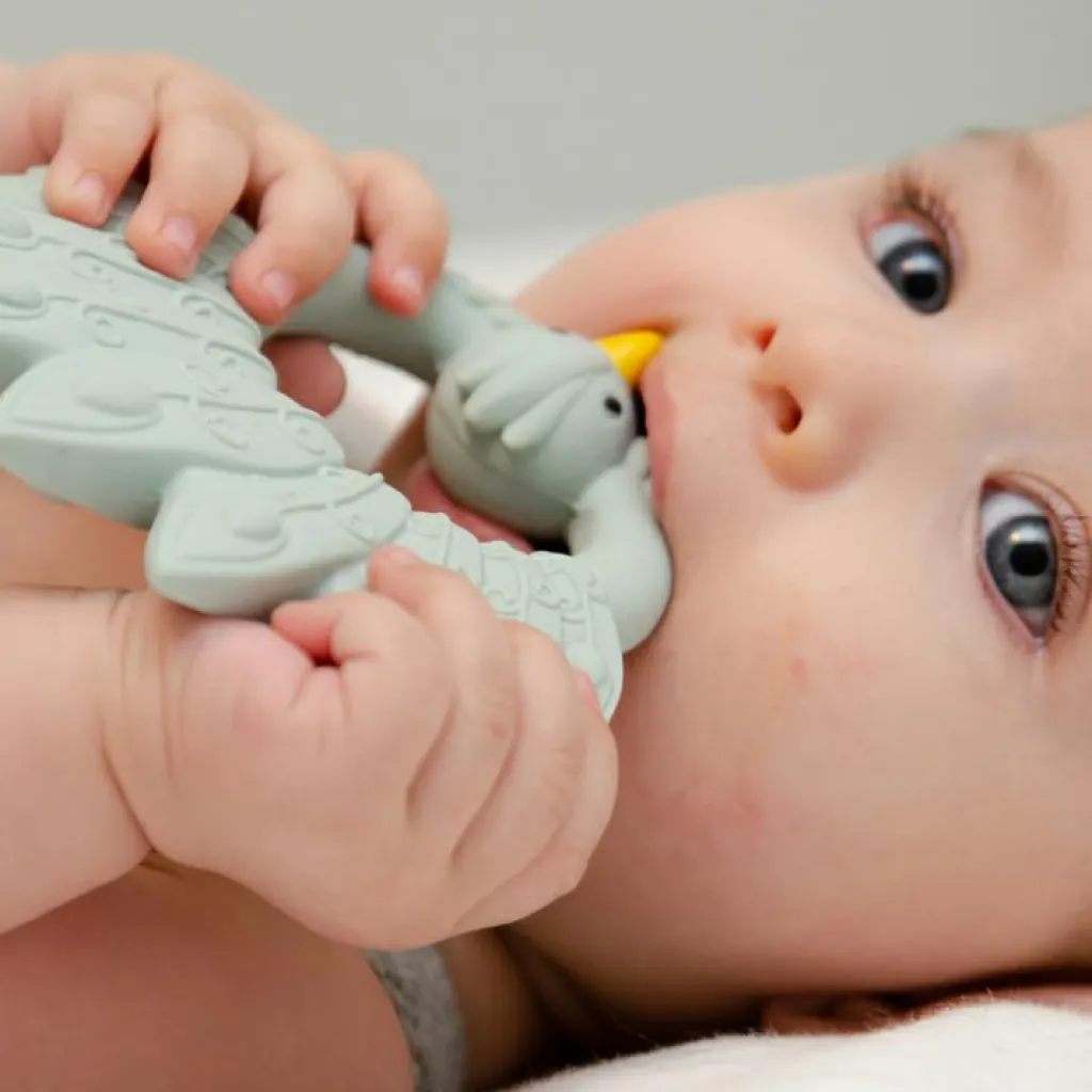 Anneau de dentition Paon Bleu clair Jouet / Anneau De Dentition