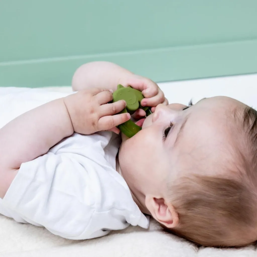 Sale Anneau de dentition réfrigérant Mr. Dino Jouet / Anneau De Dentition