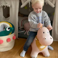 Ballon sauteur Hippo Ballon Sauteur