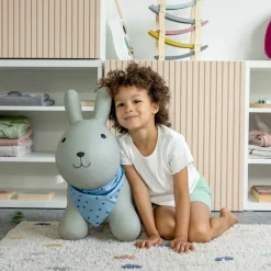 Ballon sauteur Lapin Ballon Sauteur