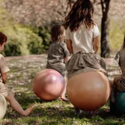 Online Ballon sauteur orange (45 cm) Ballon Sauteur