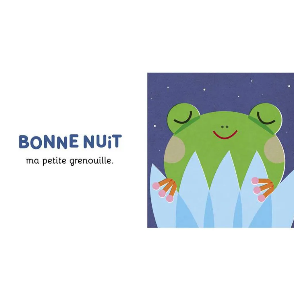 Bonne nuit mon petit chat ! Premiers Livres