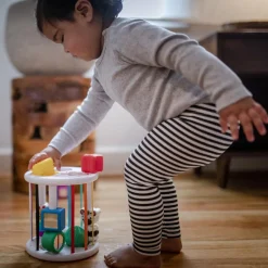 New Boîte à formes Zèbre et Chenille Jouet À Encastrer