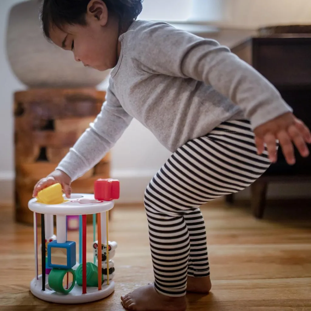 New Boîte à formes Zèbre et Chenille Jouet À Encastrer