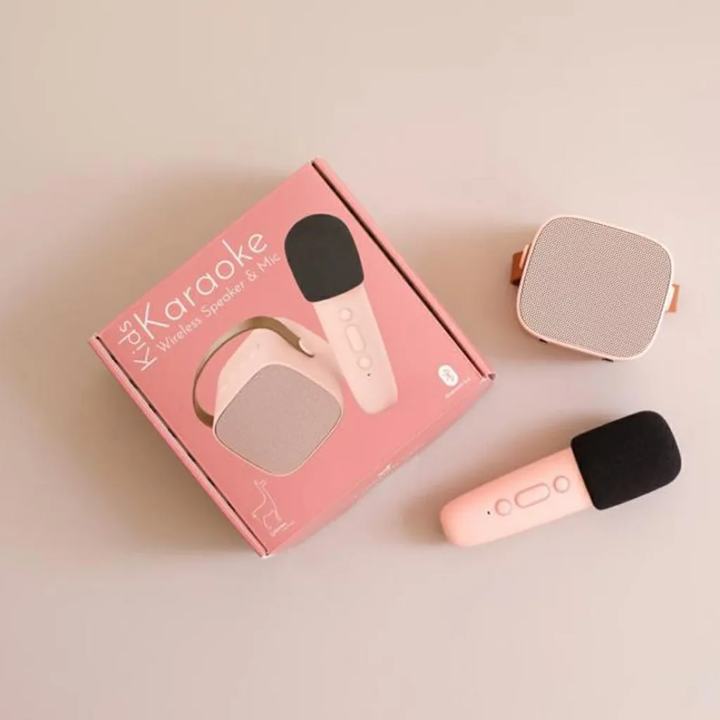 Discount Boîte karaoké enceinte et micro Rose Micro Karaoké