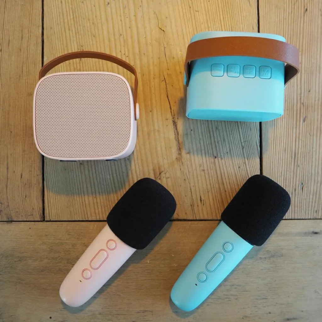 Discount Boîte karaoké enceinte et micro Rose Micro Karaoké