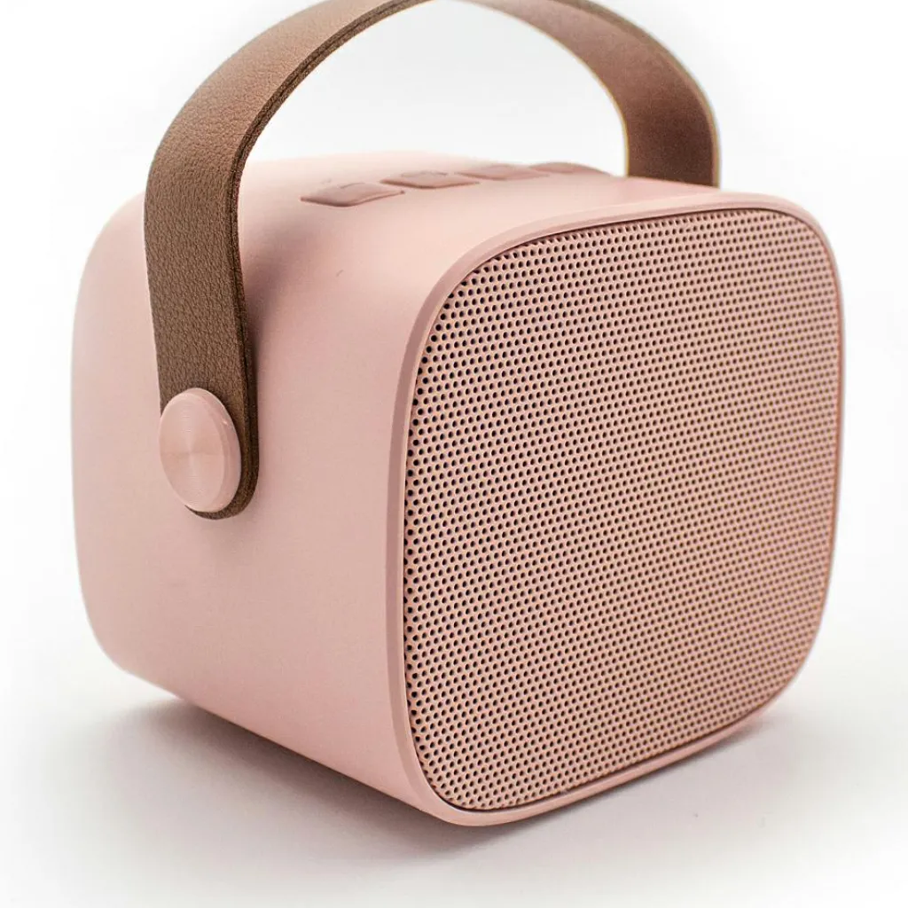 Discount Boîte karaoké enceinte et micro Rose Micro Karaoké