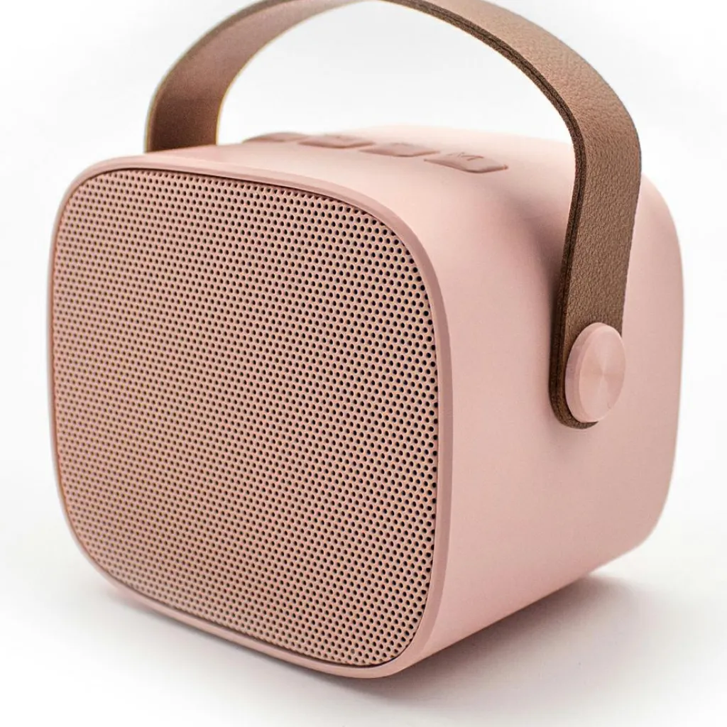 Discount Boîte karaoké enceinte et micro Rose Micro Karaoké