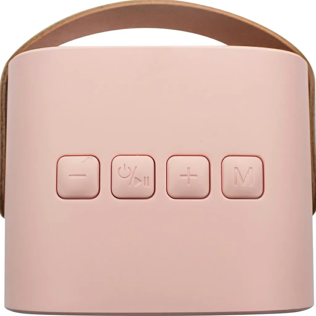 Discount Boîte karaoké enceinte et micro Rose Micro Karaoké