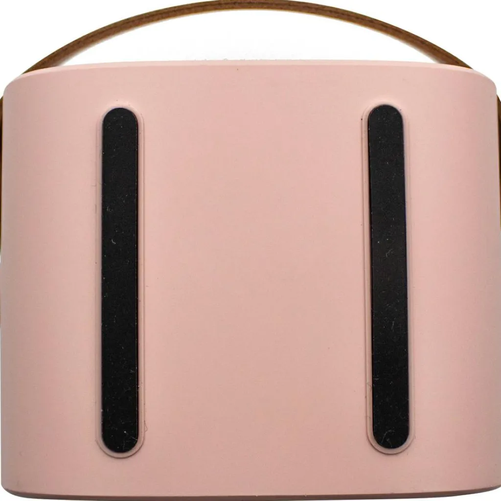 Discount Boîte karaoké enceinte et micro Rose Micro Karaoké