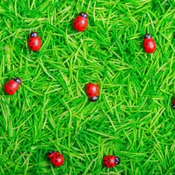 Hot Bouteille sensorielle Sound Coccinelles Bouteille Sensorielle