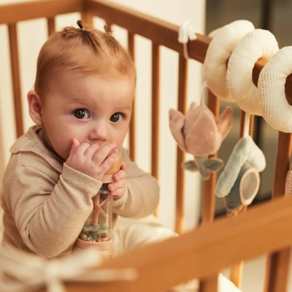 Online Bâton de pluie Lovely Birds Eveil Musical