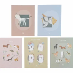 Cabinet de vétérinaire en bois FSC Docteur / Vétérinaire