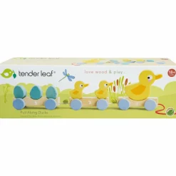 Outlet Canards à tirer Jouet À Tirer / Pousser
