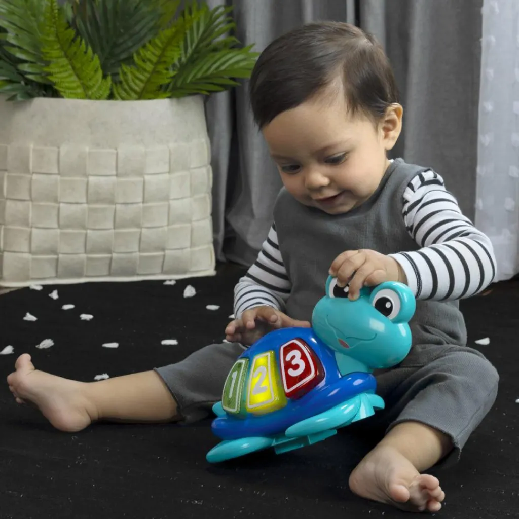 Centre d'activités à rebond Ocean Explorer Curiosity Cove Centre D'Activités