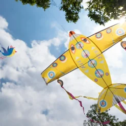 Sale Cerf-volant avion Maxi Plane Jeux D'Extérieur