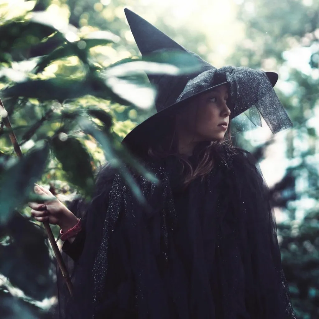 Clearance Chapeau de sorcière Noir Accessoires De Déguisement