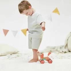 Hot Chien Puppy édition limitée à tirer Jouet À Tirer / Pousser