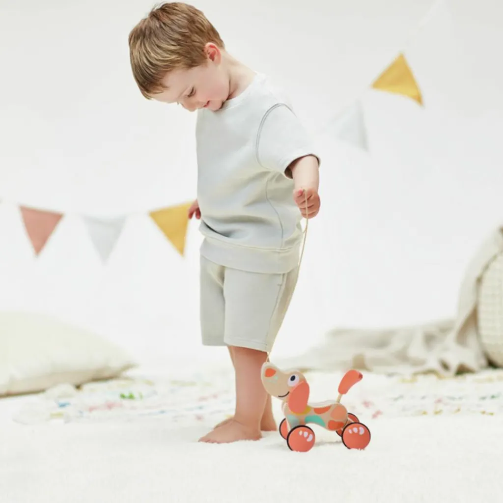 Hot Chien Puppy édition limitée à tirer Jouet À Tirer / Pousser