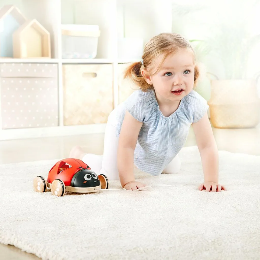 Discount Coccinelle à tirer trieuse de formes Jouet À Encastrer