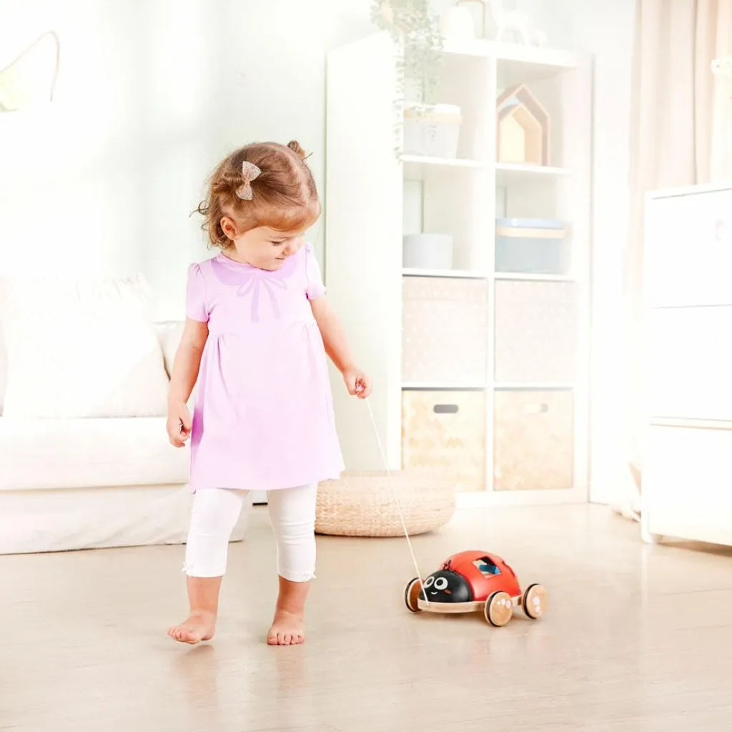 Discount Coccinelle à tirer trieuse de formes Jouet À Encastrer