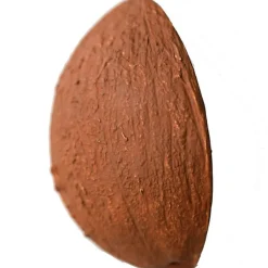 Coco la noix de coco en latex d'hévéa Jouet / Anneau De Dentition