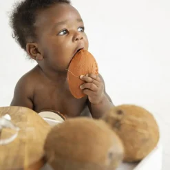 Coco la noix de coco en latex d'hévéa Jouet / Anneau De Dentition