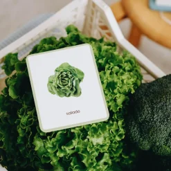 New Coffret Mini Mondy (jeu de langage autour des fruits et légumes) Apprentissage Du Temps Et Quotidien