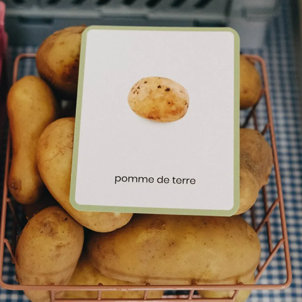 New Coffret Mini Mondy (jeu de langage autour des fruits et légumes) Apprentissage Du Temps Et Quotidien