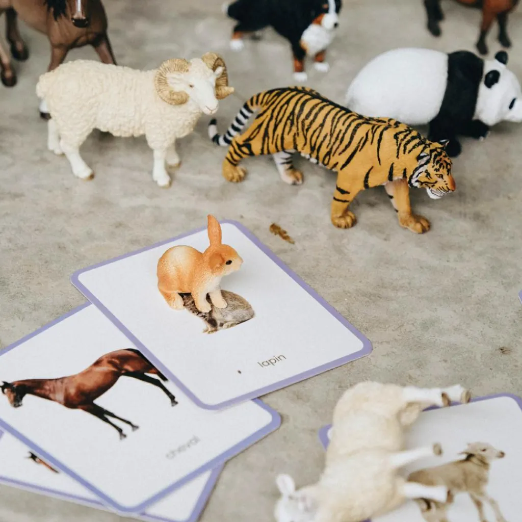 Hot Coffret Mini Mondy (jeu de langage autour des animaux) Apprentissage Du Temps Et Quotidien