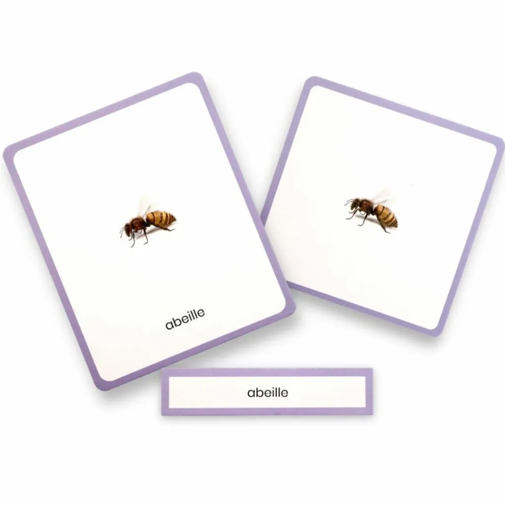 Hot Coffret Mini Mondy (jeu de langage autour des animaux) Apprentissage Du Temps Et Quotidien