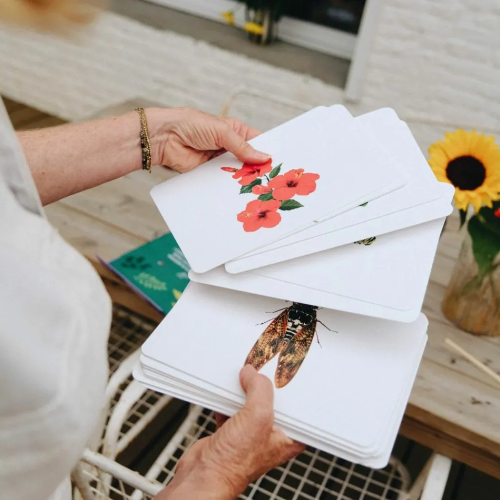 Clearance Coffret Mondy des Curieux (45 cartes de langage bilingues sur le thème de la nature) Apprentissage Du Temps Et Quotidien