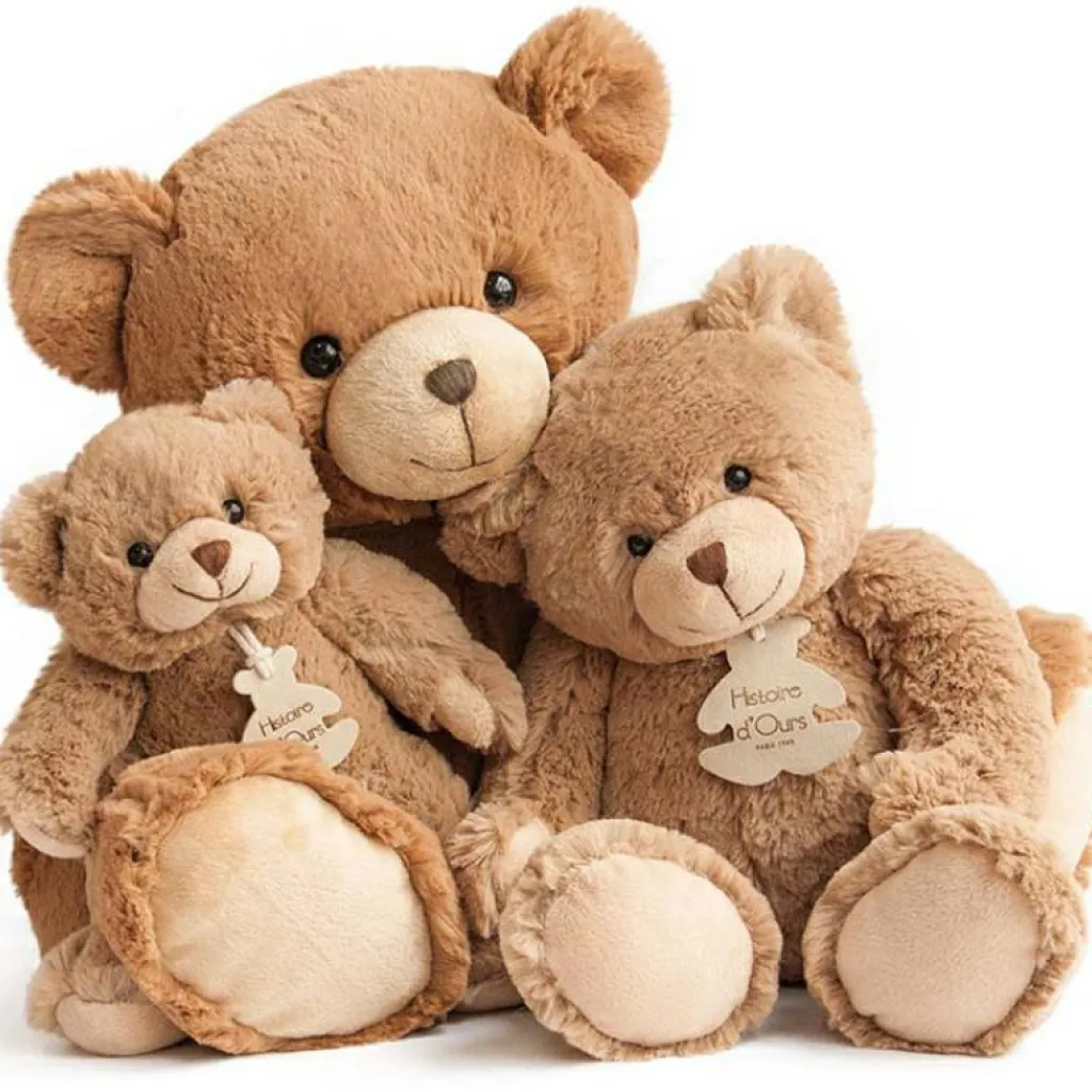 Best Coffret peluche Calin'ours Les Ours marron (25 cm) Peluche Moyenne (20-59 Cm)