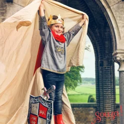 Discount Couronne roi Arthur Accessoires De Déguisement