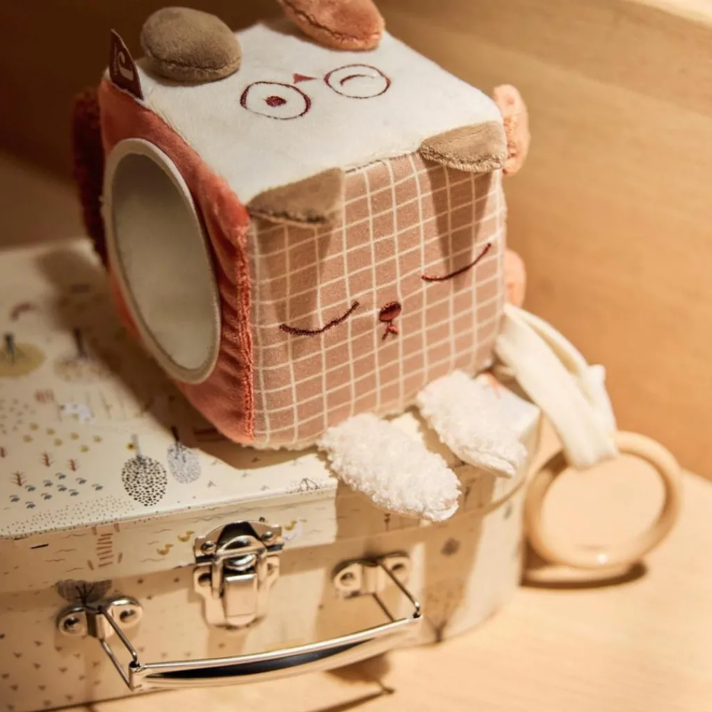 Hot Cube d'activités Animal Friends Balle / Cube D'Activités