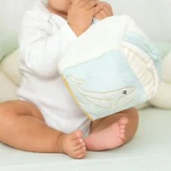 Hot Cube d'activités Au Large de Nova Balle / Cube D'Activités