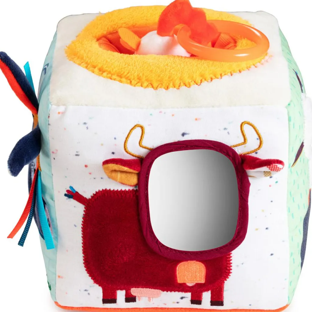 Hot Cube d'activités Ferme Balle / Cube D'Activités