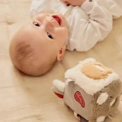 Discount Cube d'activités Fluffy Orso et Lily Balle / Cube D'Activités